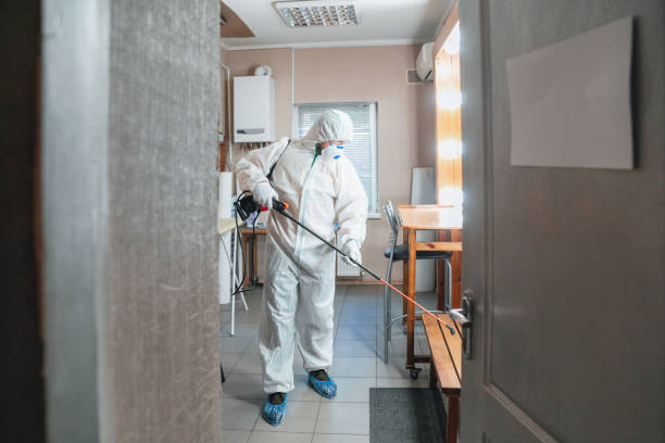Best Post-Construction Mold Inspection  in Al Creek, CO