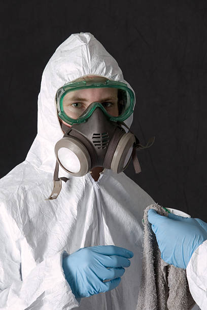 Best Airborne Mold Testing  in Al Creek, CO